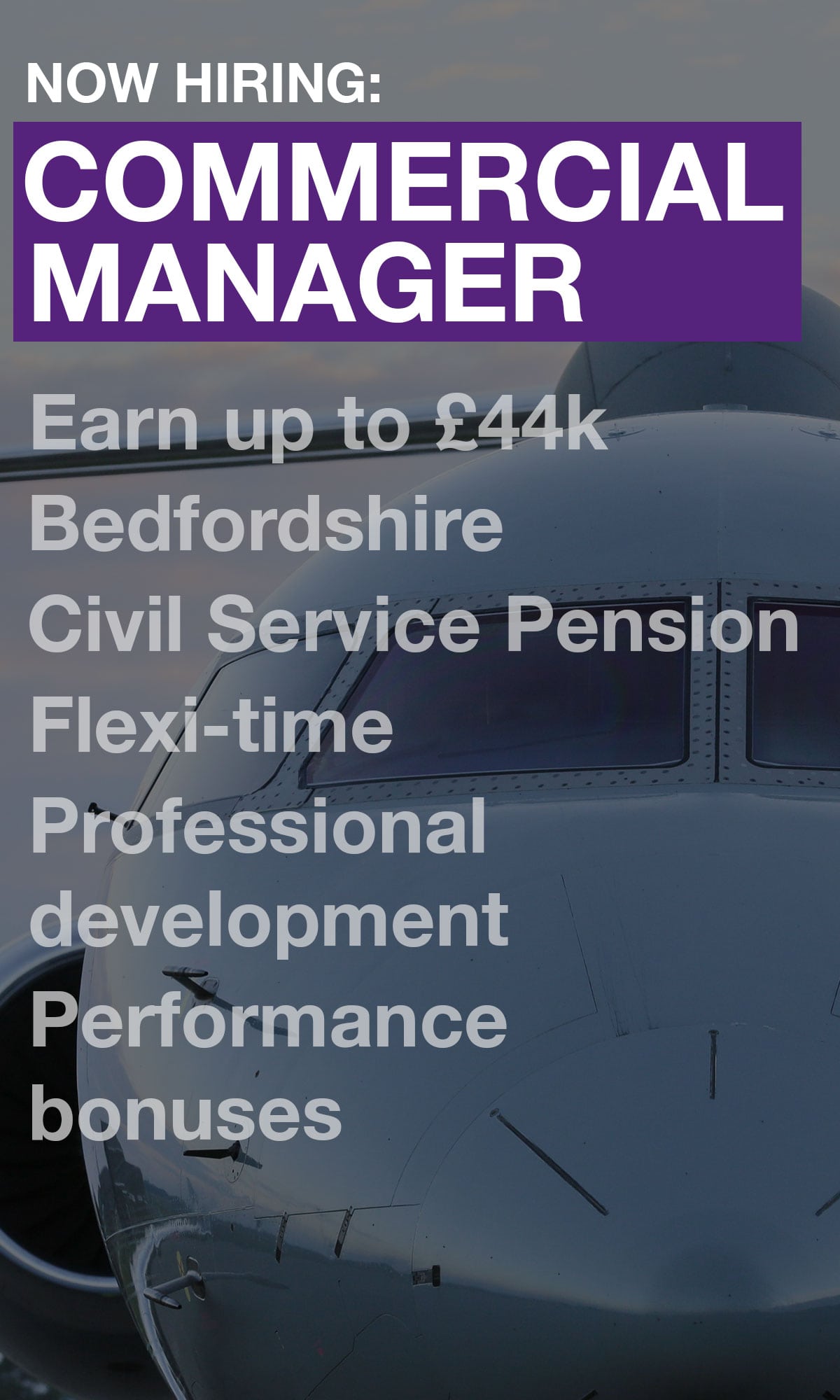 A grey plane with "Commercial Manager" written over it in purple