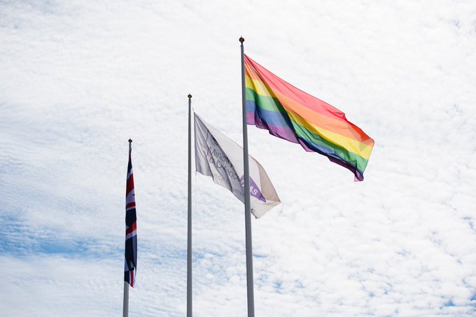 Three flags blowing in the wind against a cloudy sky. Coming towards the camera respectively, one flag is of the Union Jack, another is the MOD DE&S Flag with the two logos, and the closest is a rainbow flag - symbolising PRIDE.