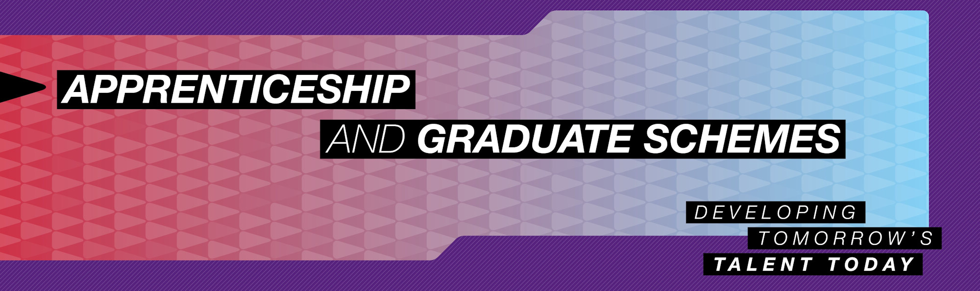 Apprenticeship and Graduate Schemes -developing tomorrow's talent today