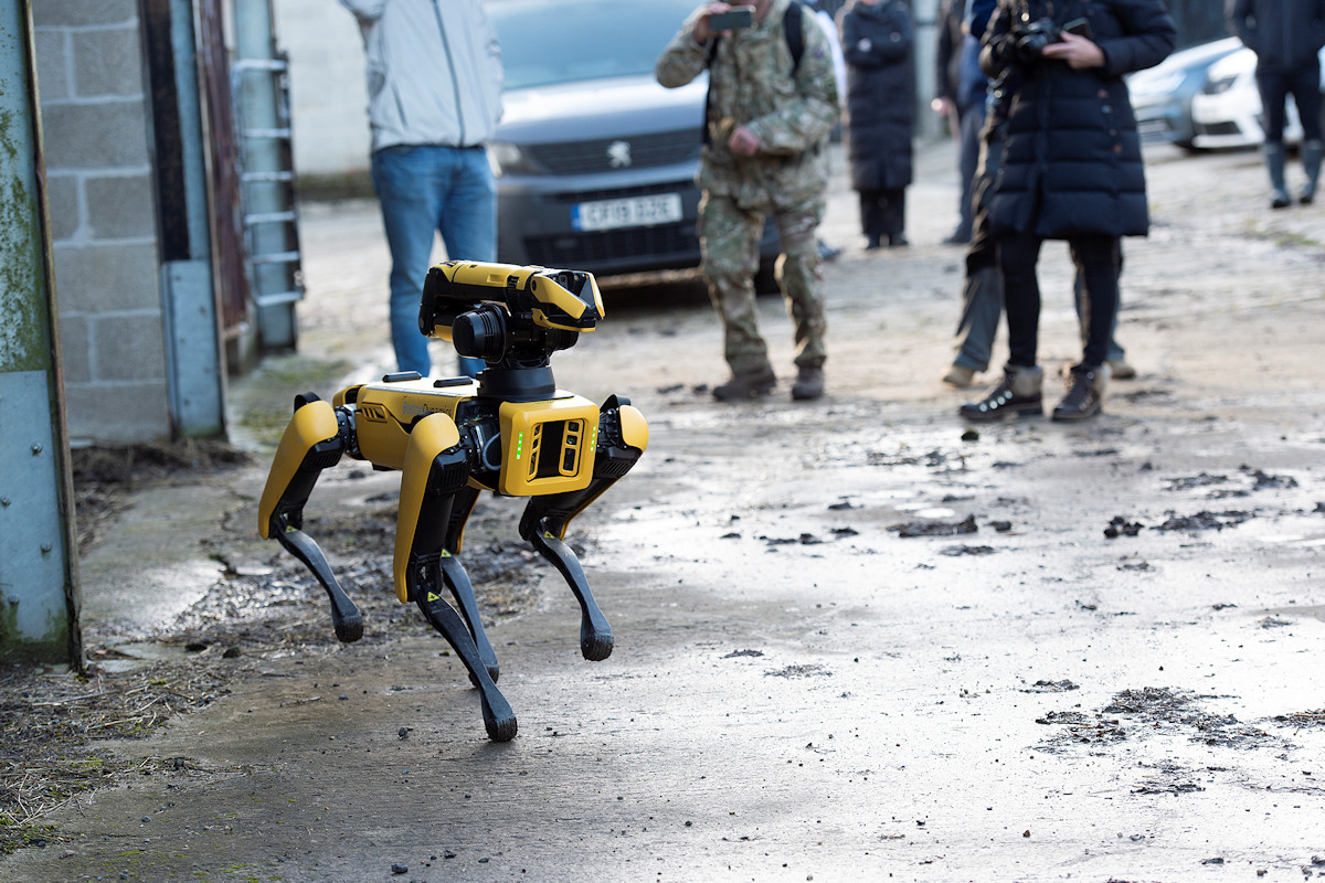 Yellow robot dog on street during recent trials
