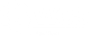 Women in engineering (WES) partner logo