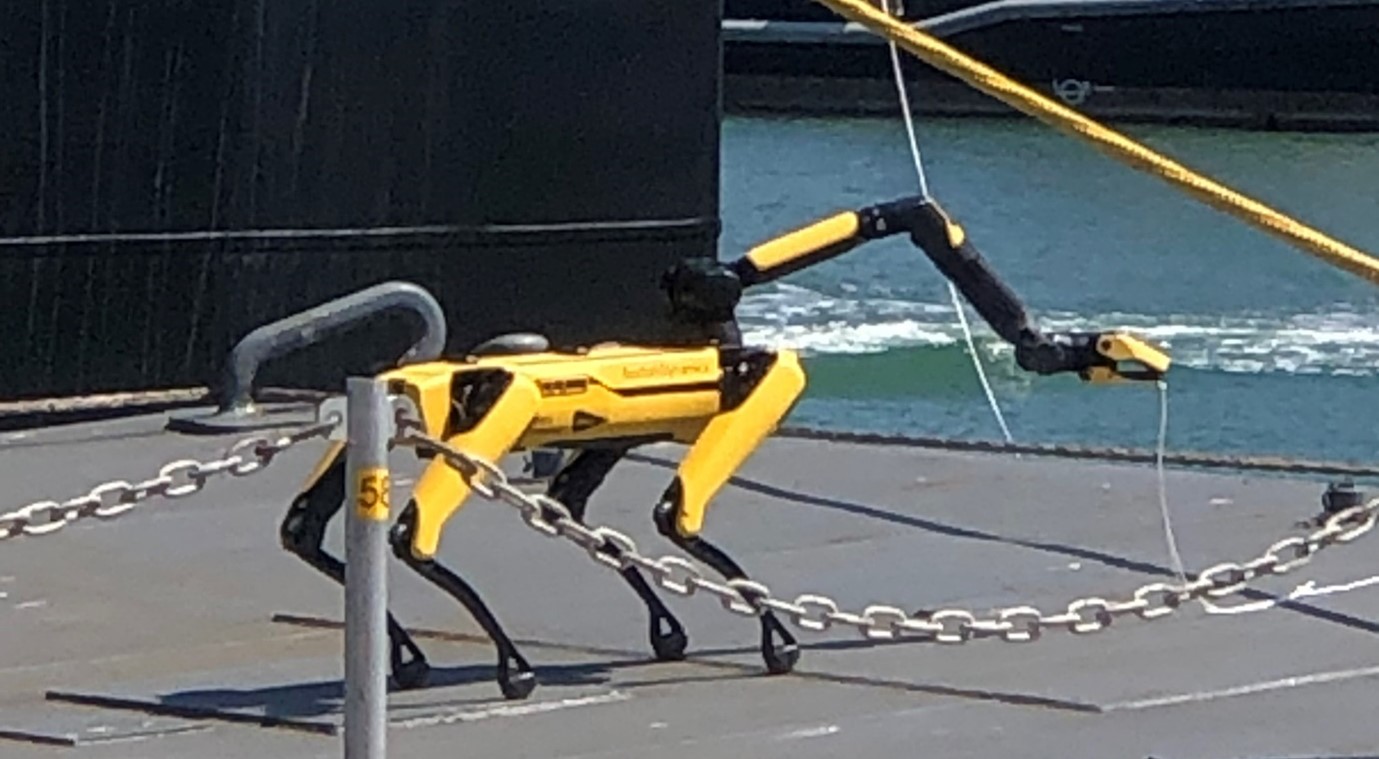 Robot Dog pulling the cord alongside the XV Patrick Blackett